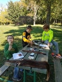 Students identifying furs on picnic table (PBIS Celebration/DNR Day! Fall 2017)