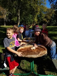 Students identifying furs on picnic table (PBIS Celebration/DNR Day! Fall 2017)