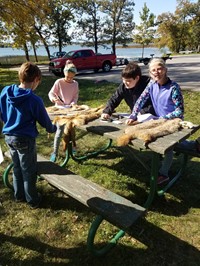 Students identifying furs on picnic table (PBIS Celebration/DNR Day! Fall 2017)