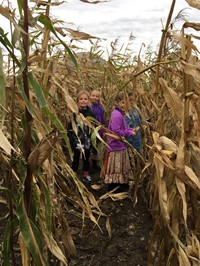Students in a corn field (2nd Grade Pioneer Day - Fall 2017)