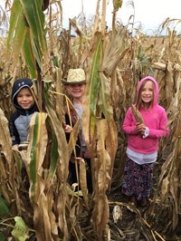 Students in a corn field (2nd Grade Pioneer Day - Fall 2017)