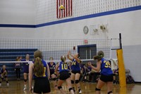 Volleyball players playing volleyball
