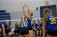 volleyball player setting the ball