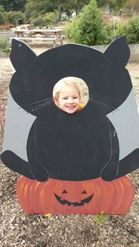 Child looking through head of a black cat display