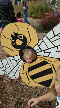 Child looking through head of a bumble bee display