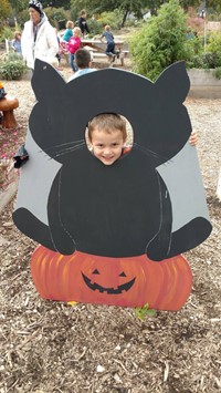 Child looking through head of a black cat display