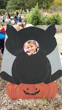 Child looking through head of a black cat display