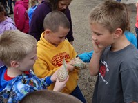 GHV First grade students visiting farm and looking at seeds