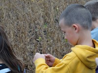 GHV First grade students visiting farm and standing near field to be harvested