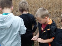 GHV First grade students visiting farm and standing near field to be harvested