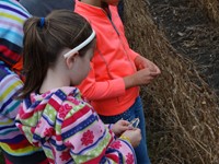 GHV First grade students visiting farm and standing near field to be harvested