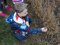 GHV First grade students visiting farm and standing near field to be harvested