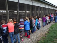 GHV First grade students visiting a farm and looking at pigs