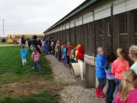 GHV First grade students visiting a farm and looking at pigs