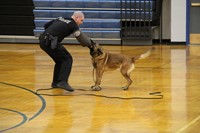 An officer, wearing a protective sleeve, doing a bite presentation with the K-9