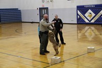 A police dog getting affection from his handler