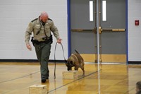 A police dog sniffing a box to determine if it contains drugs