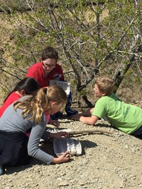 Students digging for fossils in a rock quarry