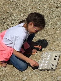 Student digging for fossils in a rock quarry