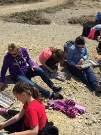 Students digging for fossils in a rock quarry